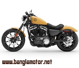 Harley Davidson Iron 883 2019