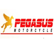 pegasus Bike brand jpeg logo